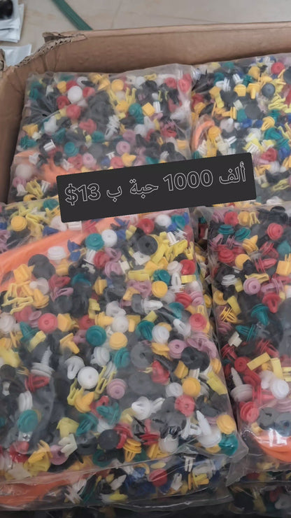 1000 Pieces Car Fixing Clip Plastic Rivet Clips with Disassembly Tool Assorted Fixing Rivets Universal Nylon Car Trim Clip for Bodywork, Door, Panel, Bumper