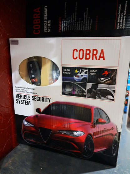 Car Alarm System