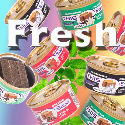 Car Air Freshener Cans: Spill Proof Air Fresheners for Home, Office, or Car Accessories, Lasts Up to 60 Days