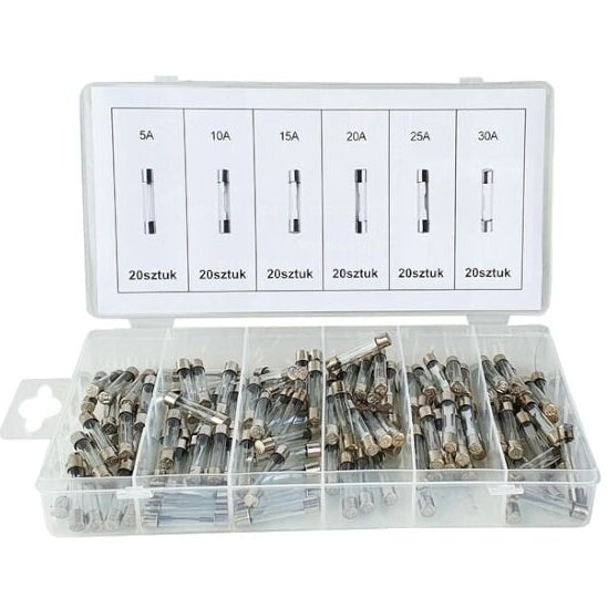 120 Glass Fuses 5A - 30A (Amper) Fuse Set Device Fuses Set Fine Fuses Assortment (in Reusable Storage Box/Assortment Box/Sorting Box)