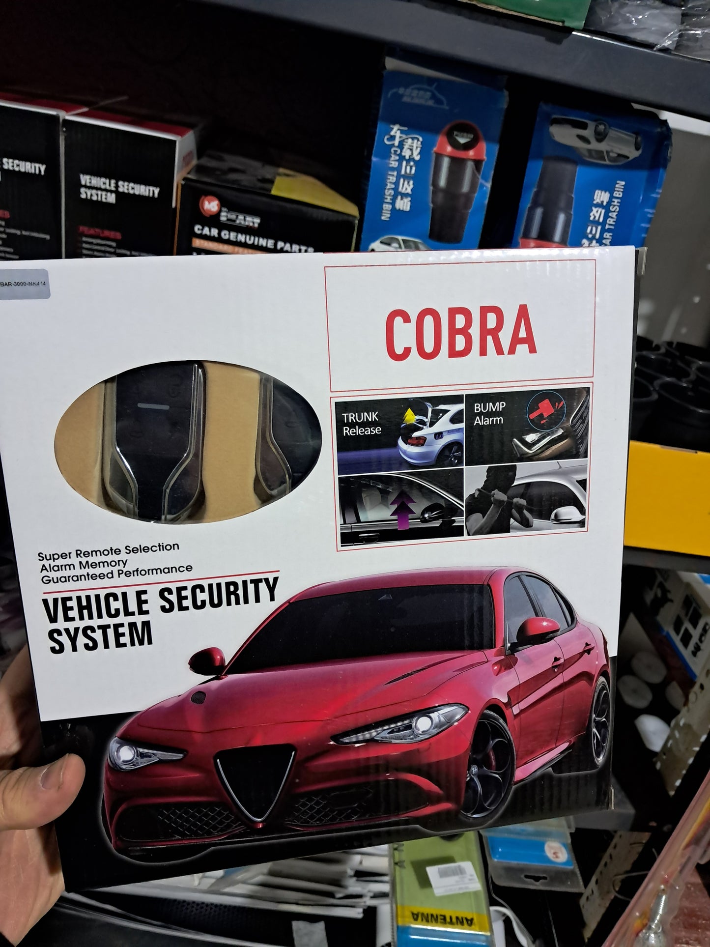 Car Alarm System