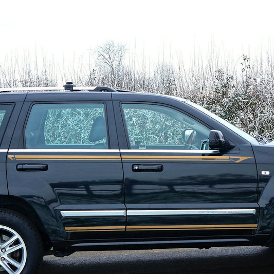 Stylish Vinyl Pinstripe for Cars 32 Feet Double Line Tape Decal Sticker